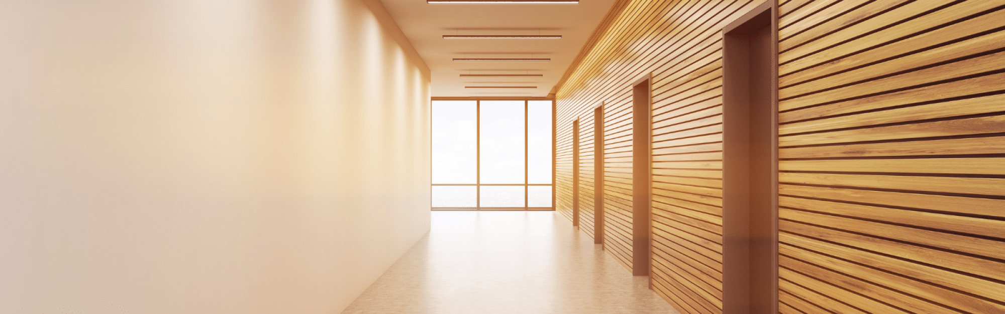 portes en bois